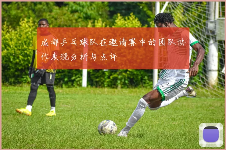 成都乒乓球队在邀请赛中的团队协作表现分析与点评