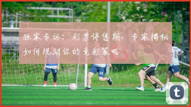 独家专访：彩票停售期，专家揭秘如何规划你的竞彩策略