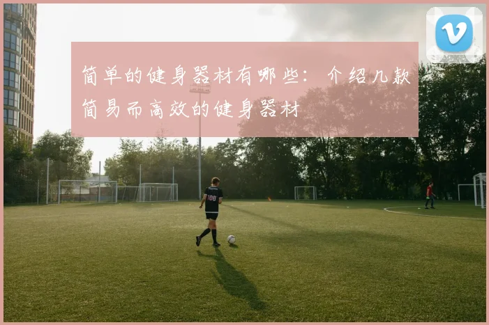 简单的健身器材有哪些：介绍几款简易而高效的健身器材